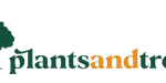 myplantsandtrees.shop favicon